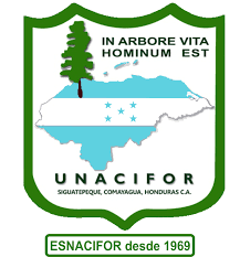 Universidad de Ciencias Forestales