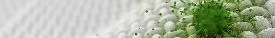  Ensayo para estudiar las propiedades antibacterianas en tejido textil recubierto