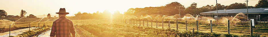  Desarrollo de la conversión