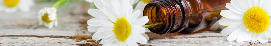 Citealimenta fue el solicitante del proyecto y estuvo a cargo de la elaboración del protocolo de extracción y ficha técnica de los aceites obtenidos.