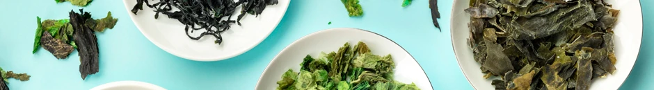 Convenio de colaboración entre el Centro de Investigación y Tecnología Industrial de Cantabria (CITICAN) y el Centro de Innovación y Desarrollo Económico de Noja (CIDE Noja) - ALGAS_I