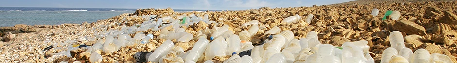 Sustainable beaches: Development of an integral solid waste management system and environmental management for the canton’s touristic beaches and their area of influence. (Ecuador 2013)