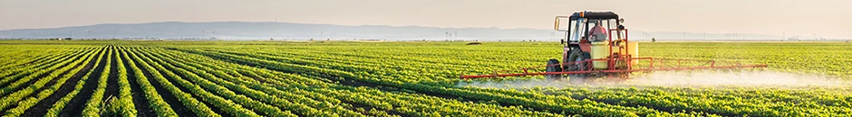 Self-supporting villages with nutritional agri-food formula (Argentina)