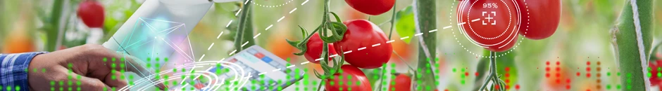 NUTRINOIDS: Diseño de un marcador en plasma de carotenoides que permita establecer el consumo de frutas y verduras en la población Universitaria de Cantabria