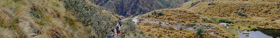 Innovación para el Ecoturismo