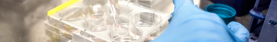 Banner Gestion e investigacion Sanitaria