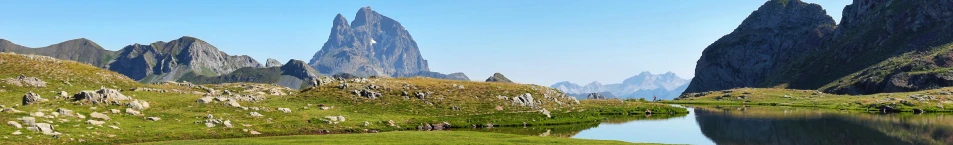 Banner Medio Ambiente