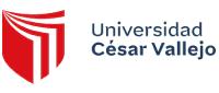 Universidad Cesar Vallejo