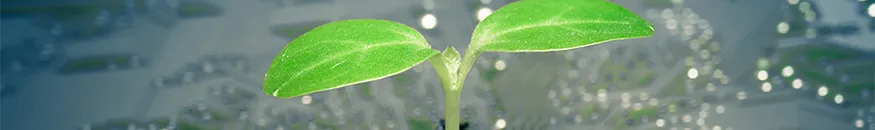 Mestrado Universitário em Engenharia Ambiental