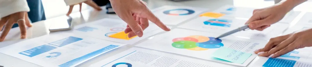 Especialidad en Diseño y Gestión de Proyectos