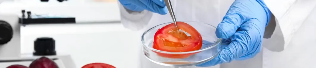 Licenciatura en Ciencia y Tecnología de los Alimentos