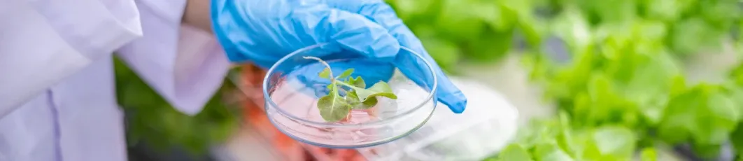 Maestría en Nutrición y Biotecnología Alimentaria