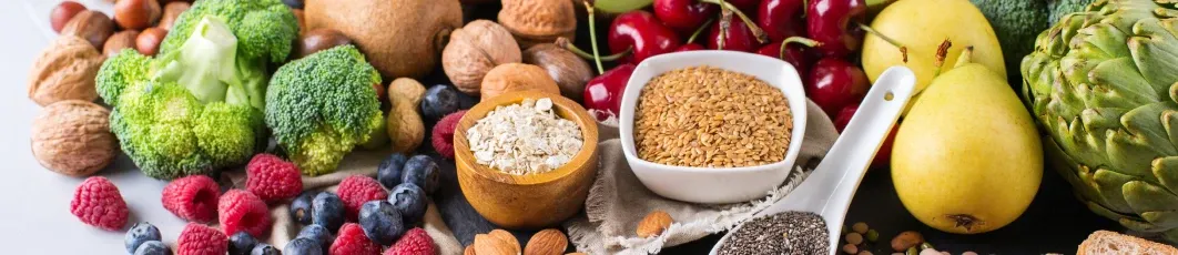 Maestría en Nutrición y Dietética Vegetariana