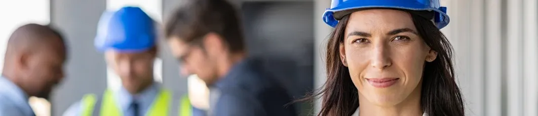 Grado/Licenciatura en Ingeniería en Organización Industrial