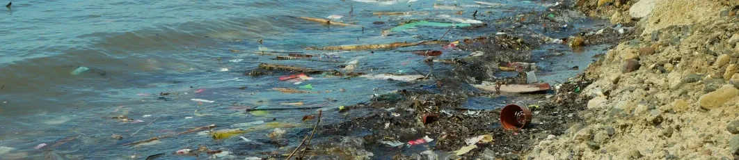 Contaminación Marina