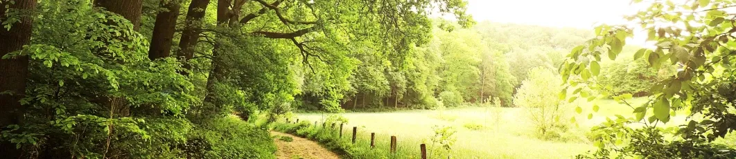 Gestión y Conservación de Espacios Naturales