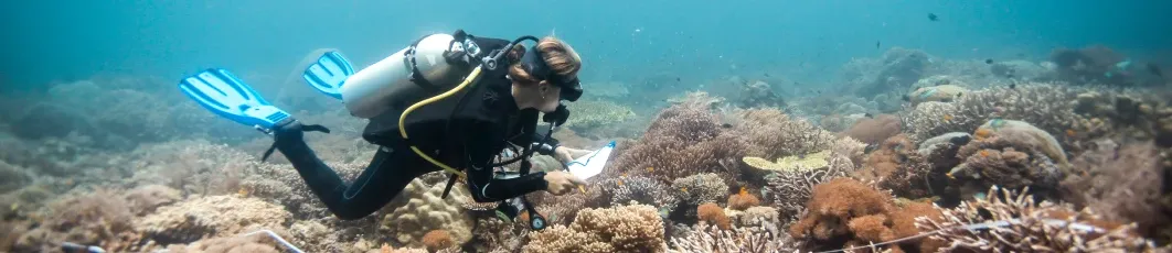 Oceanografía y Recursos Marinos
