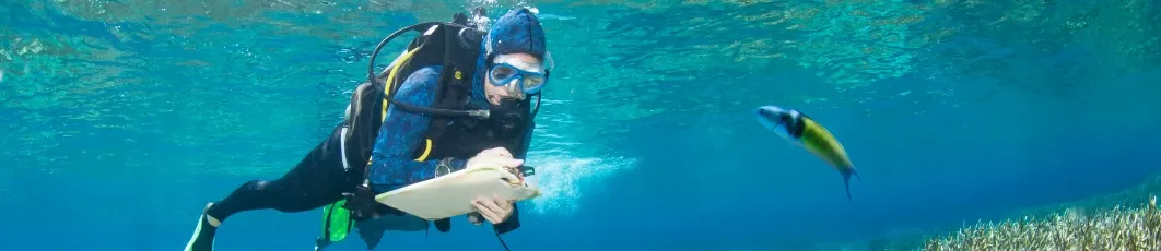 Maestría en Ciencia y Tecnología Marina