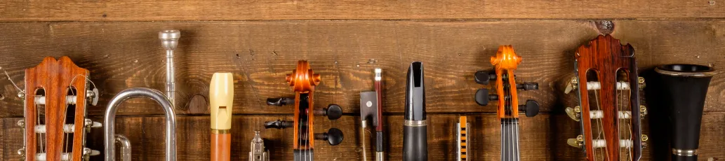 Maestría en Gestión de Proyectos Culturales 