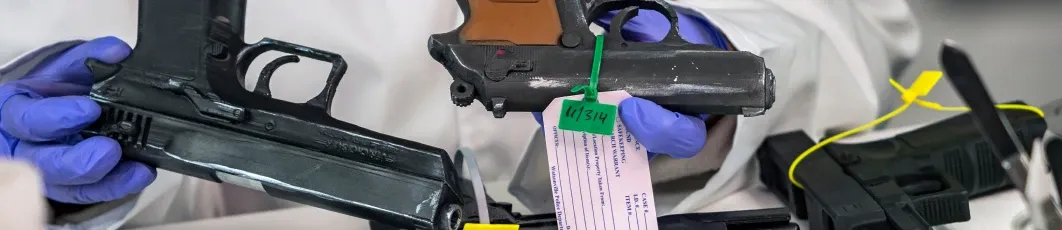 Especialización en Armamento